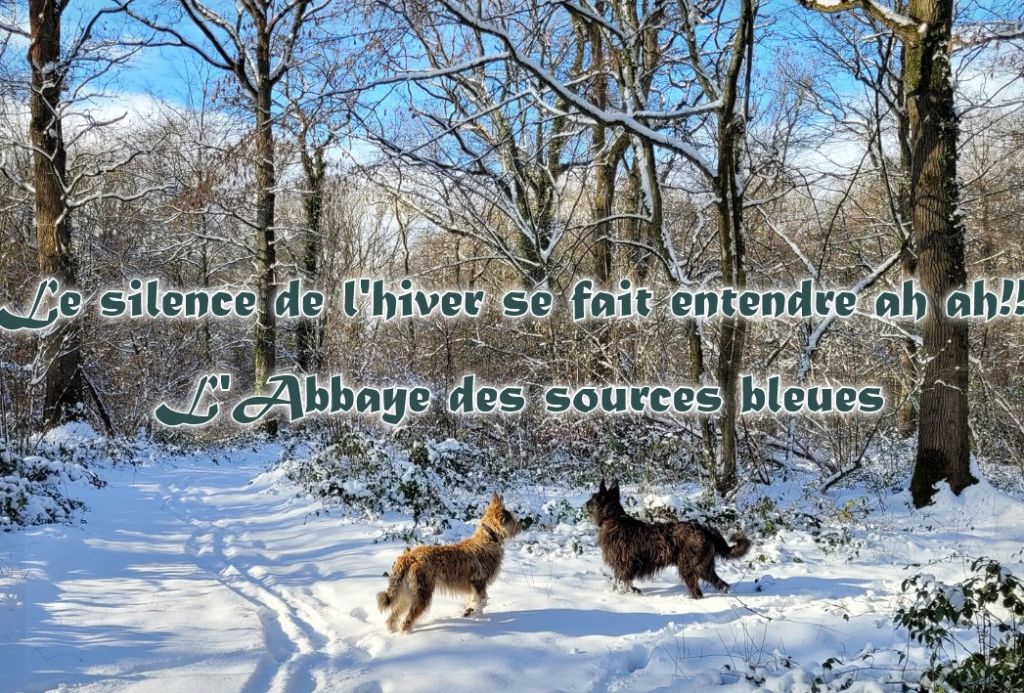 De L'abbaye Des Sources Bleues - 16 DECEMBRE 2025.