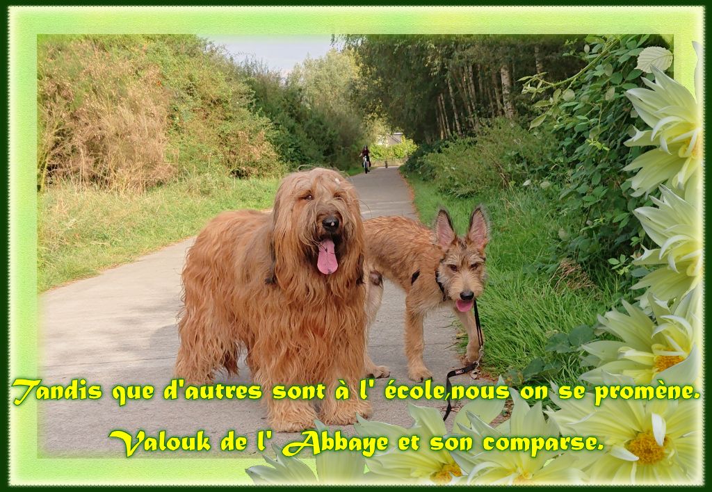 De L'abbaye Des Sources Bleues - A NOUS ,LES PROMENADES.