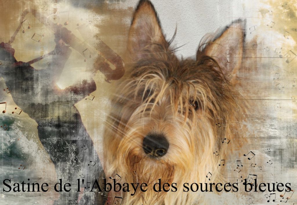 De L'abbaye Des Sources Bleues - SATINE DE L'ABBAYE DES SOURCES BLEUES