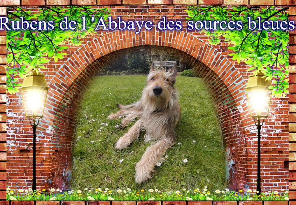 De L'abbaye Des Sources Bleues - ENCORE UN GENTIL DEMEURANT A PARIS