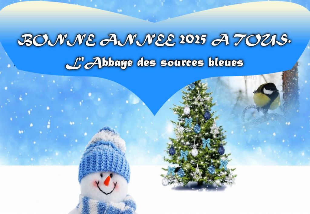 De L'abbaye Des Sources Bleues - 1 JANVIER 2025