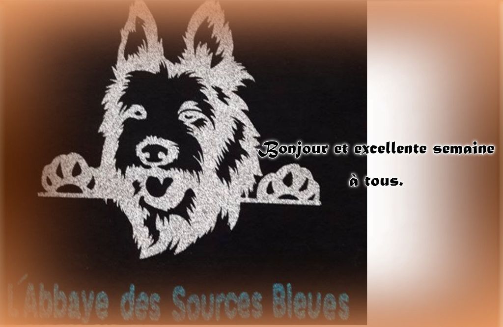 De L'abbaye Des Sources Bleues - NOVEMBRE 2025