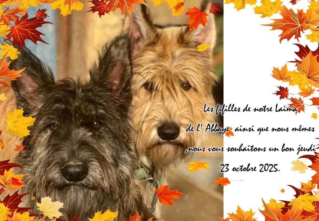 NOUBA ET PIN-UP DE L ABBAYE DES SOURCES BLEUES