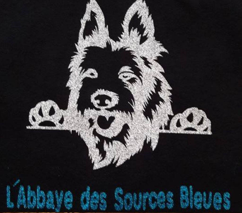 De L'abbaye Des Sources Bleues - BON VENDREDI A TOUS