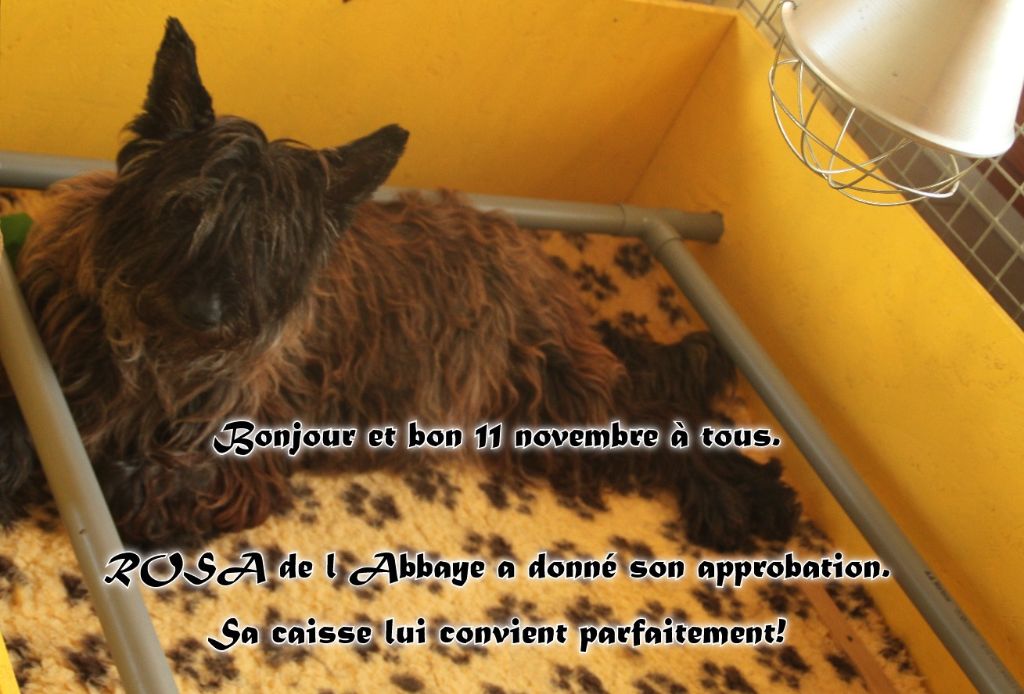 ROSA DE L'ABBAYE EN MODE RELAX.