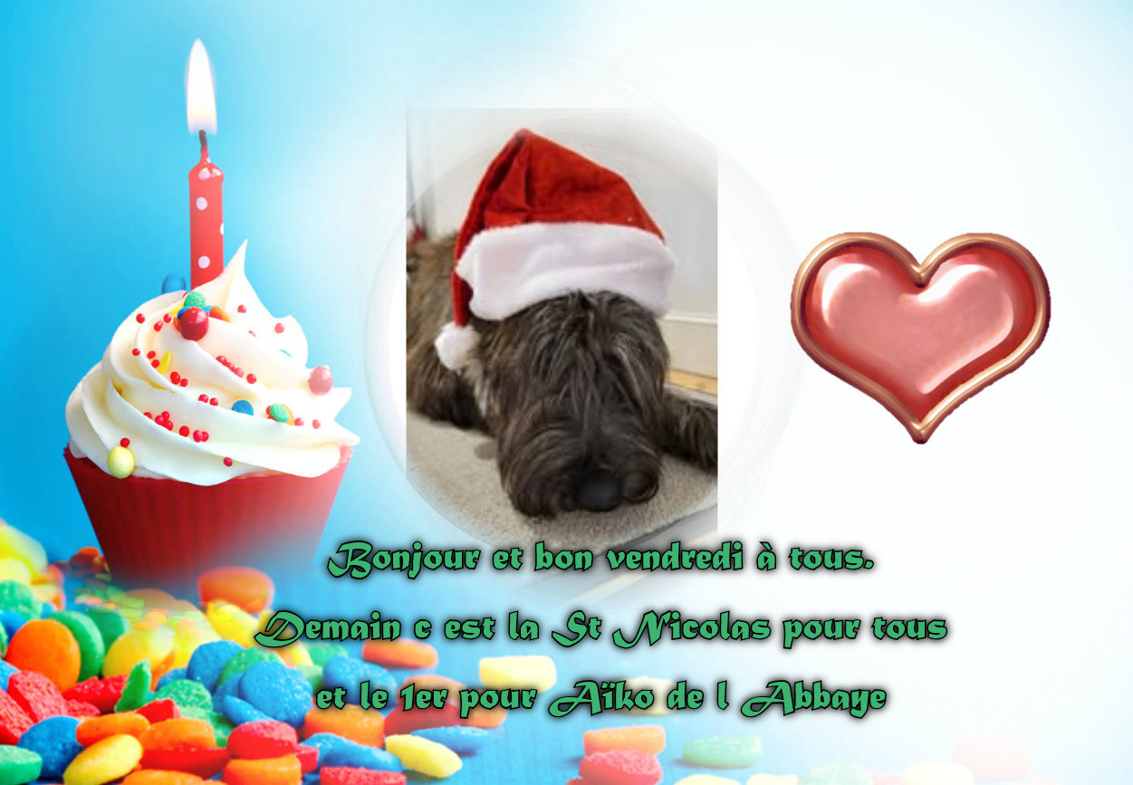 DEJA DANS LES FESTIVITES DE DECEMBRE 2025