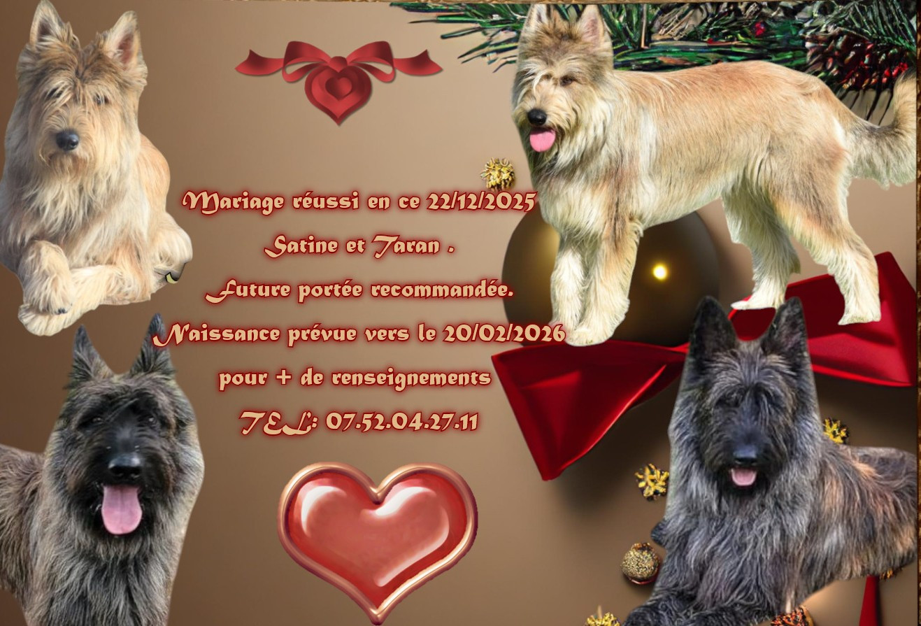 De L'abbaye Des Sources Bleues - FUTURE PORTEE 2026