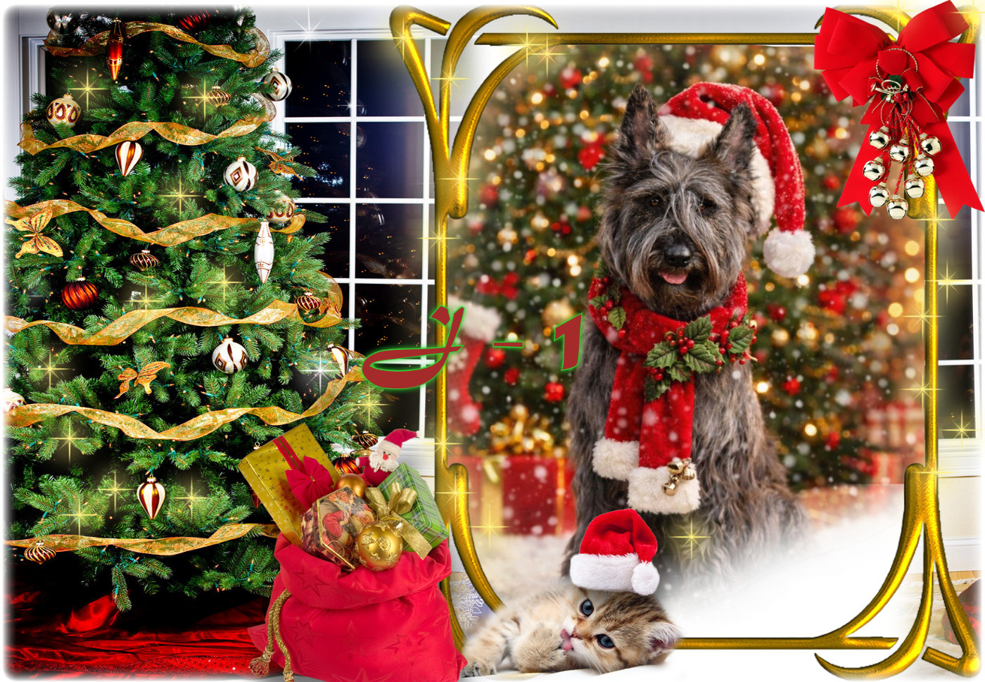 De L'abbaye Des Sources Bleues - DEMAIN C'EST NOËL