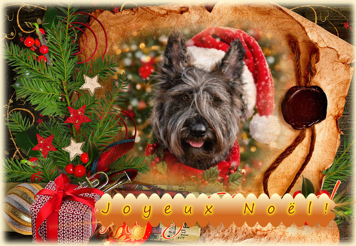 De L'abbaye Des Sources Bleues - BON NOËL 2025 A TOUS