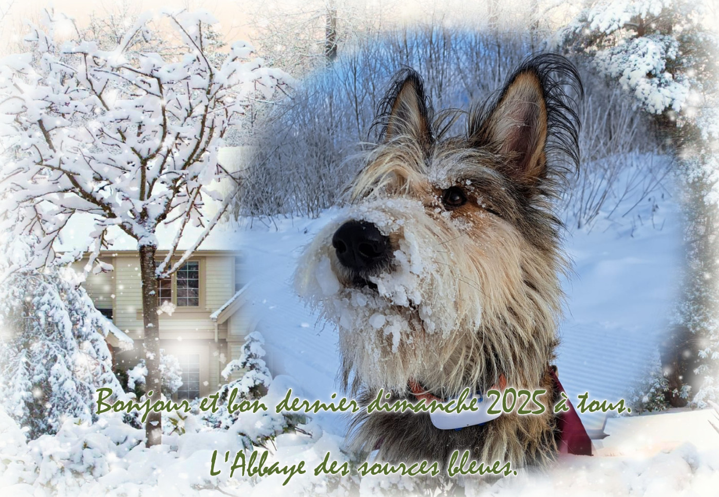 De L'abbaye Des Sources Bleues - DIMANCHE 28/12/2025