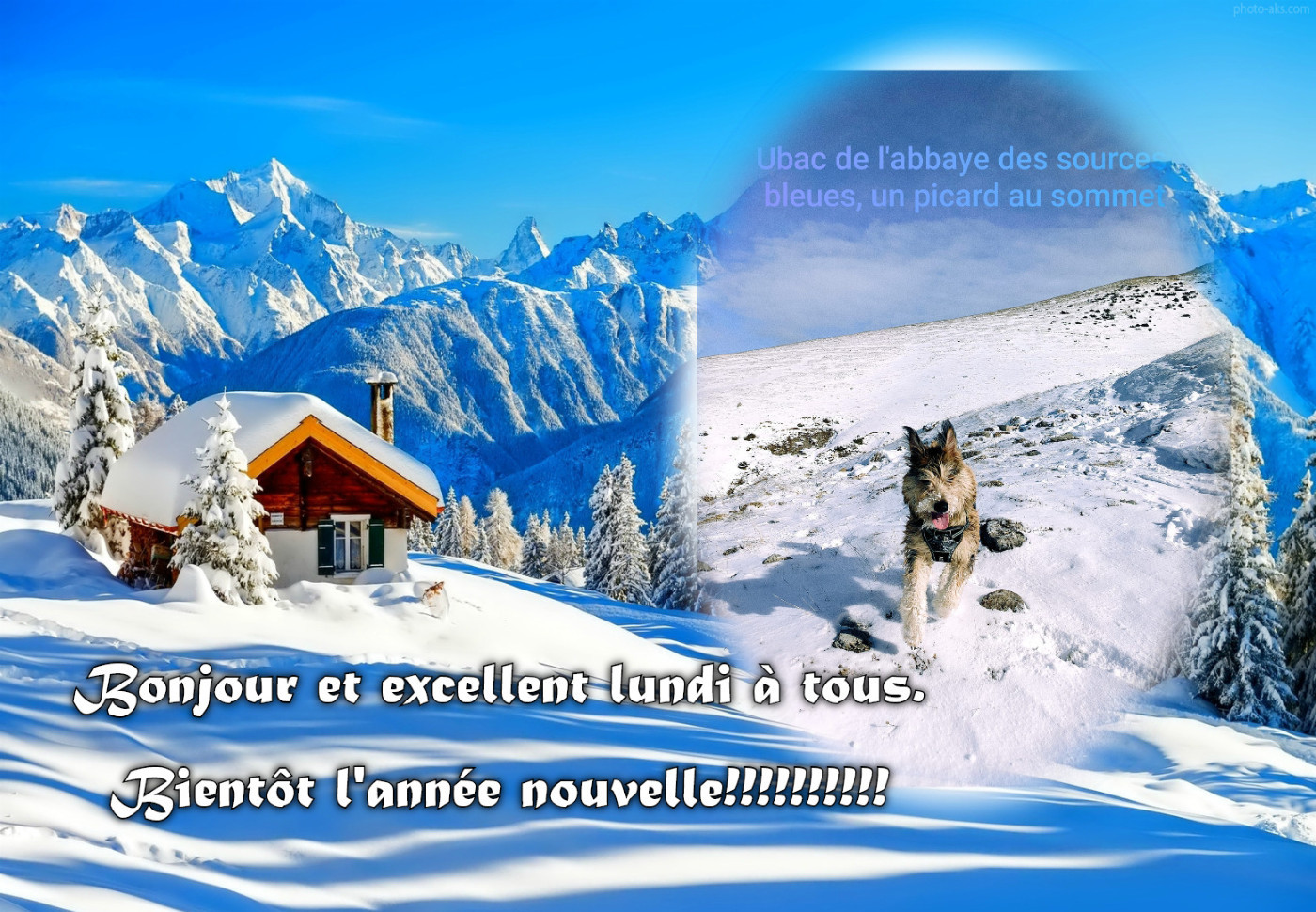 De L'abbaye Des Sources Bleues - UBAC DE L ABBAYE DES SOURCES BLEUES