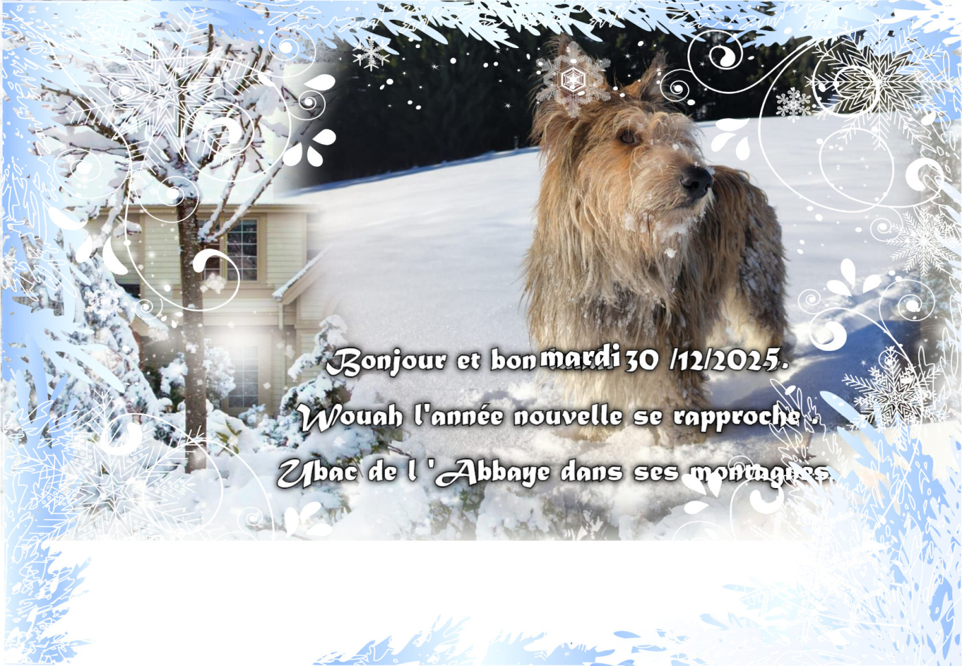 De L'abbaye Des Sources Bleues - MARDI 30 DECEMBRE 2025