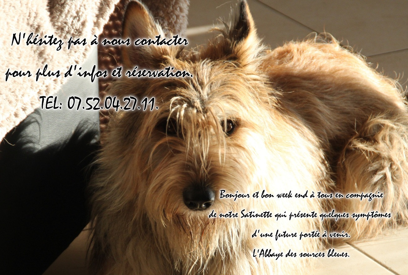 De L'abbaye Des Sources Bleues - FUTURE PORTEE