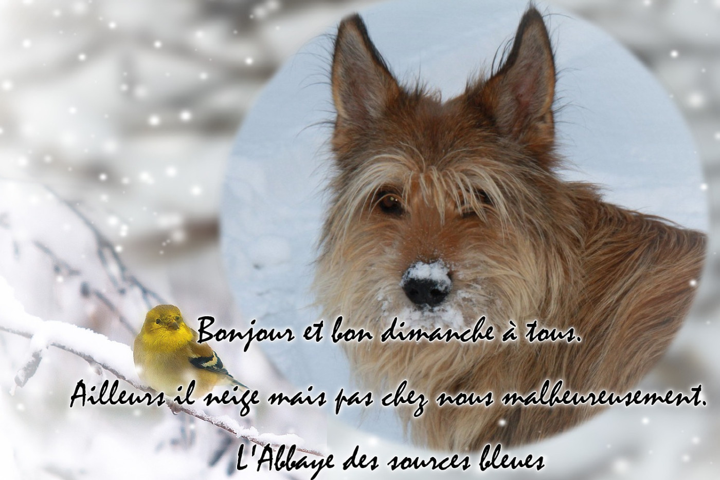 De L'abbaye Des Sources Bleues - UN DIMANCHE D'HIVER 2026