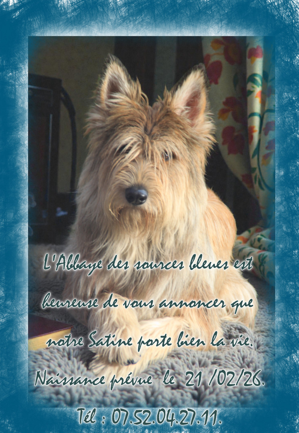 CONFIRMATION DE GESTATION