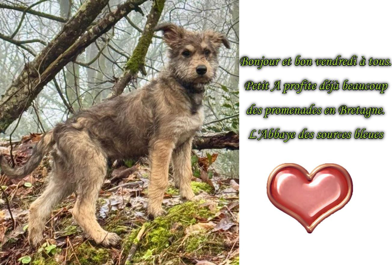 EXCELLENT WEEK END A TOUS