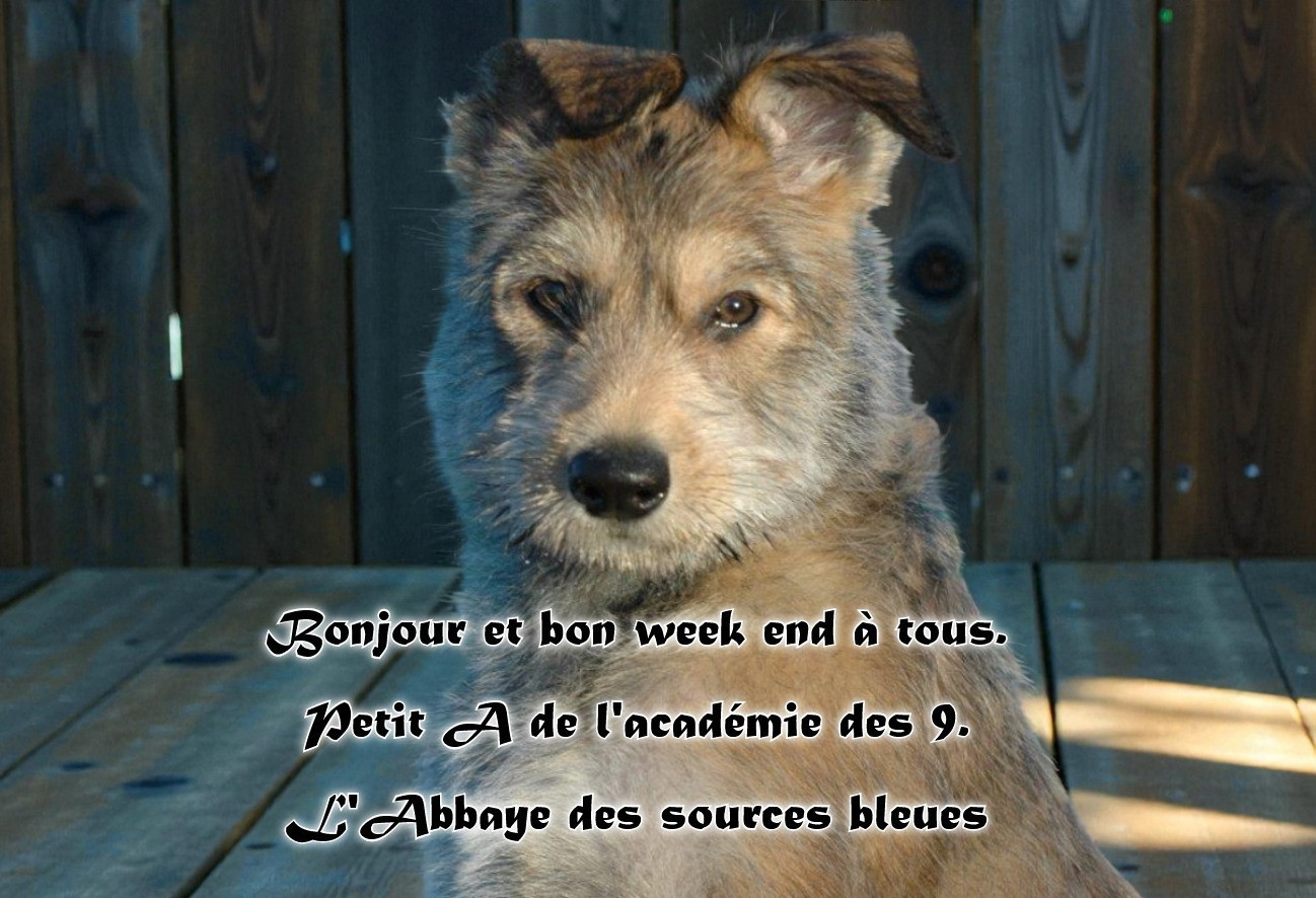 DERNIER JOUR DU MOIS DE JANVIER 2026