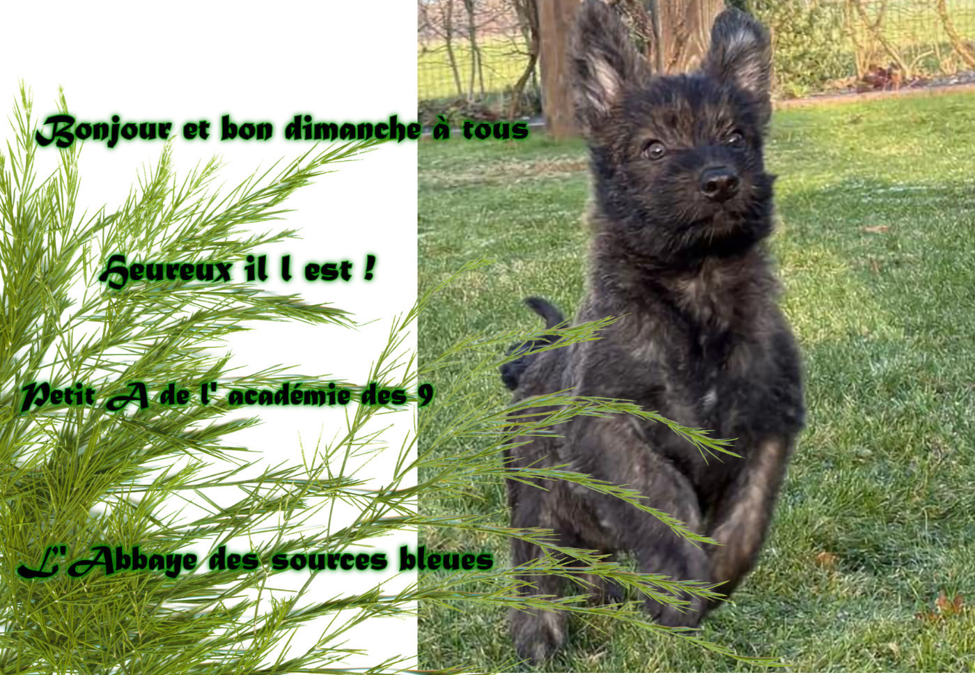 De L'abbaye Des Sources Bleues - EXCELLENT DIMANCHE A TOUS.