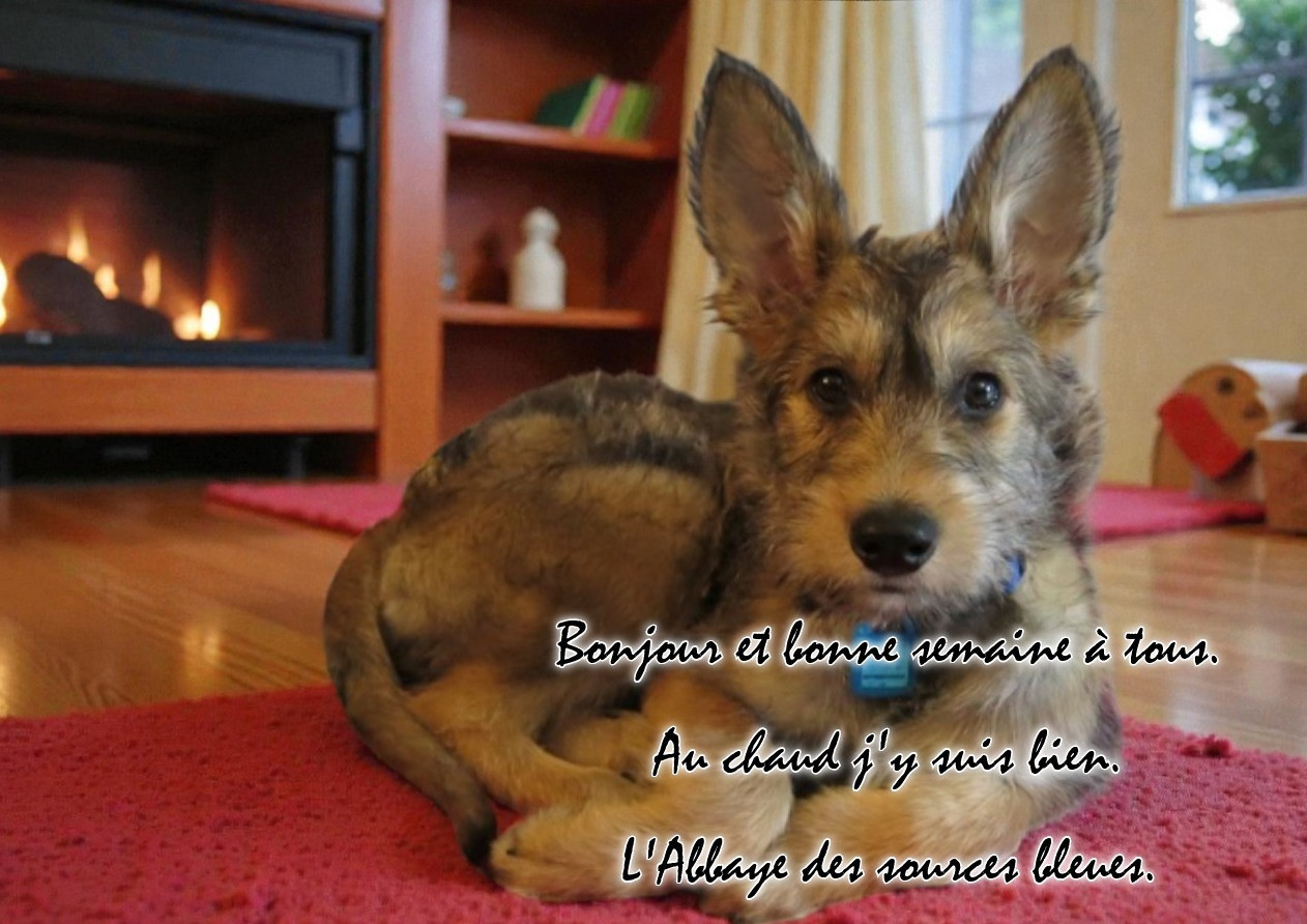 De L'abbaye Des Sources Bleues - EXCELLENTE SEMAINE A TOUS.