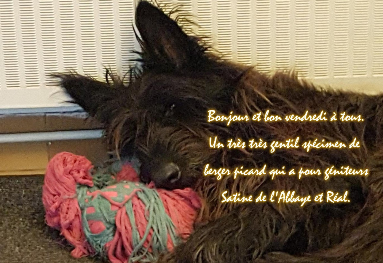 De L'abbaye Des Sources Bleues - VENDREDI 13 FEVRIER 2026