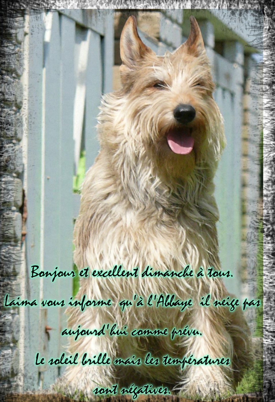 De L'abbaye Des Sources Bleues - PAS DE NEIGE A L ABBAYE