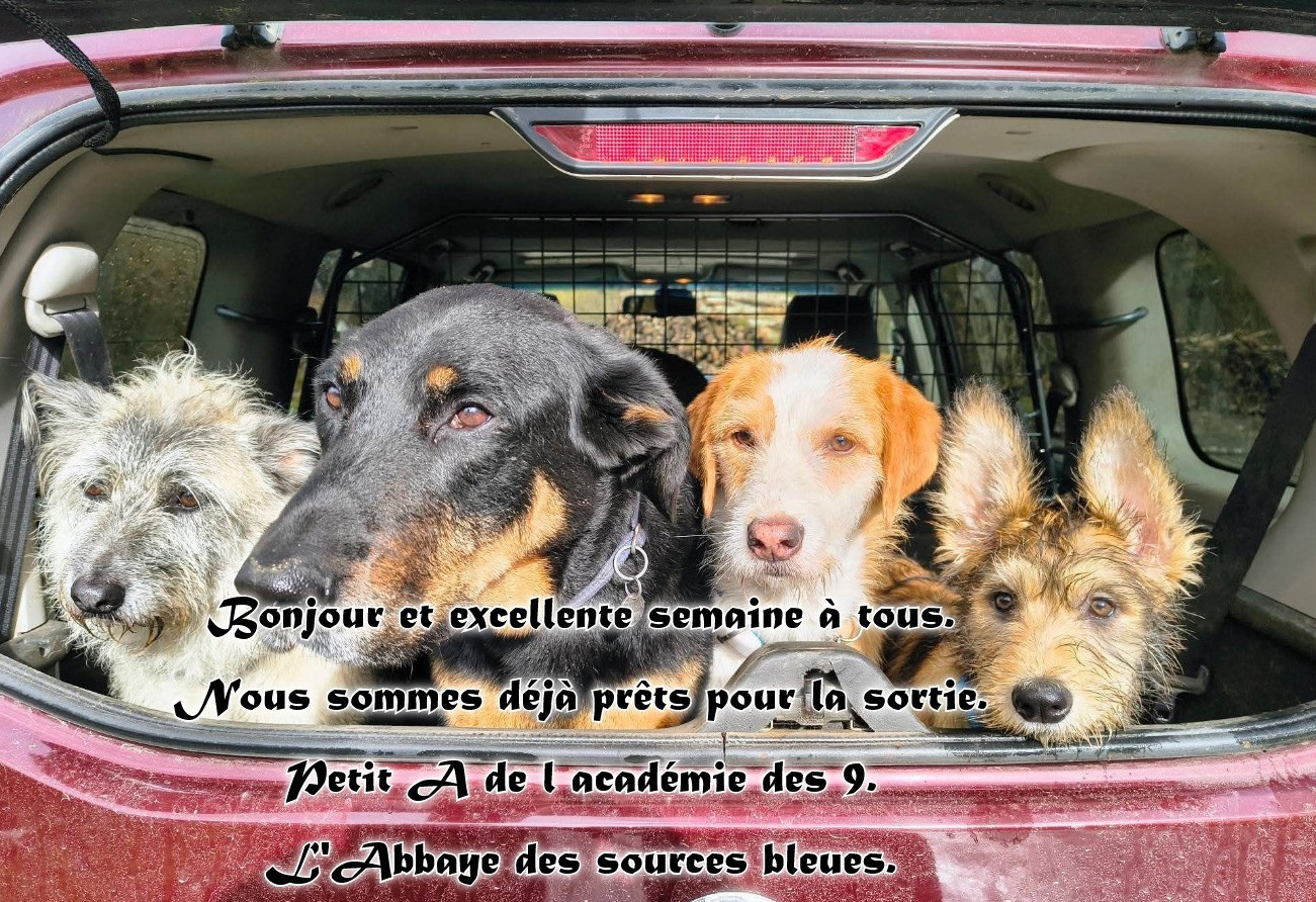 De L'abbaye Des Sources Bleues - BONNE SEMAINE A TOUS.