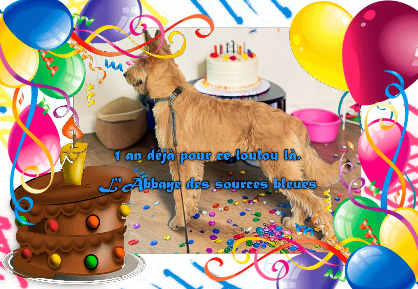 De L'abbaye Des Sources Bleues - 1 AN AUJOURD'HUI POUR LES LOULOUS