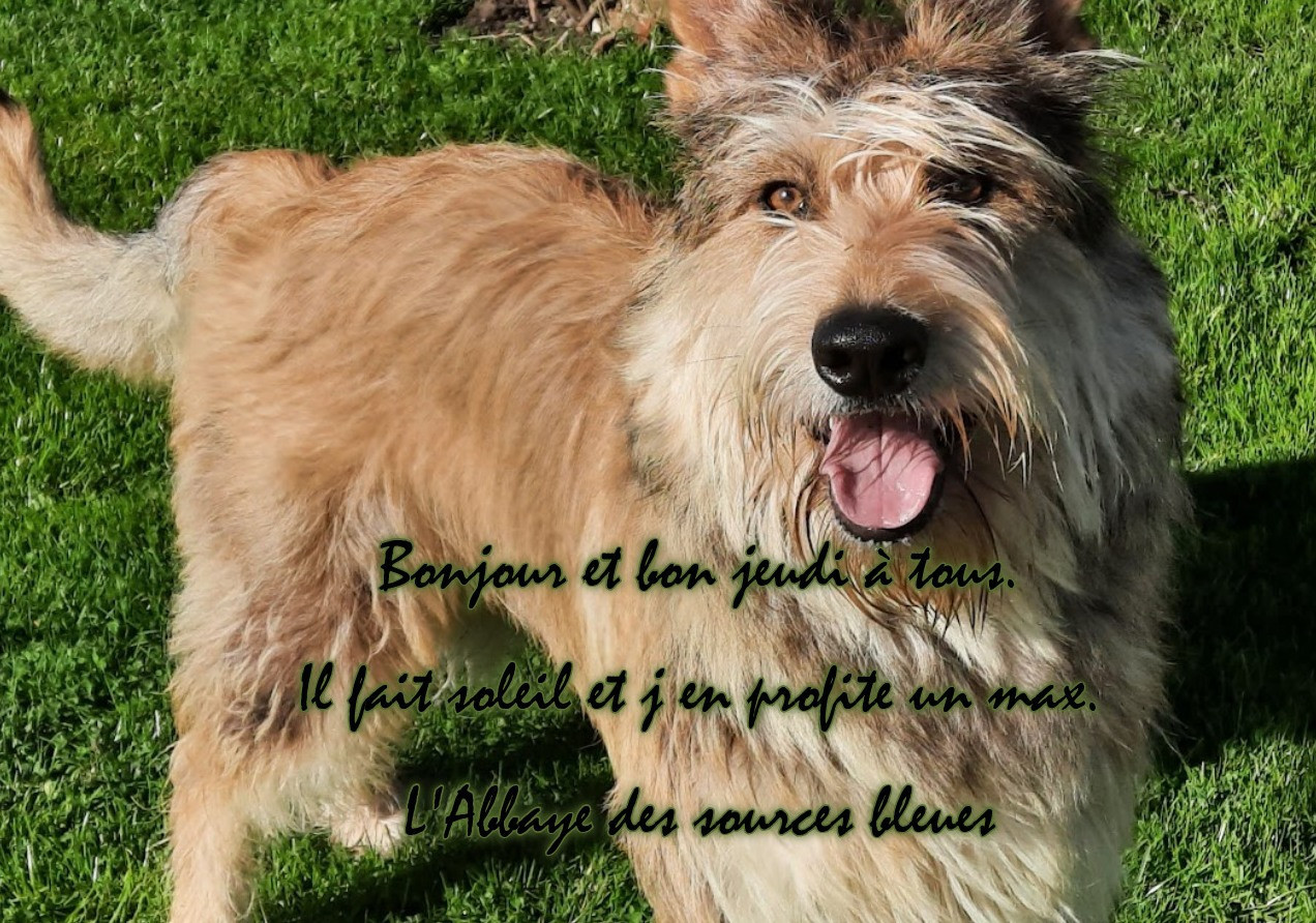 De L'abbaye Des Sources Bleues - ENFIN LE SOLEIL !!!!!!!!!!!!