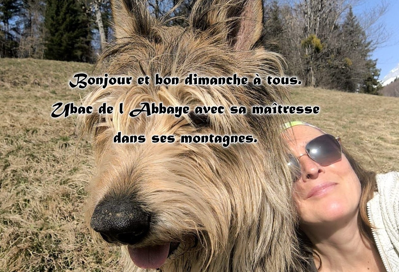 De L'abbaye Des Sources Bleues - EXCELLENT DIMANCHE A TOUS.