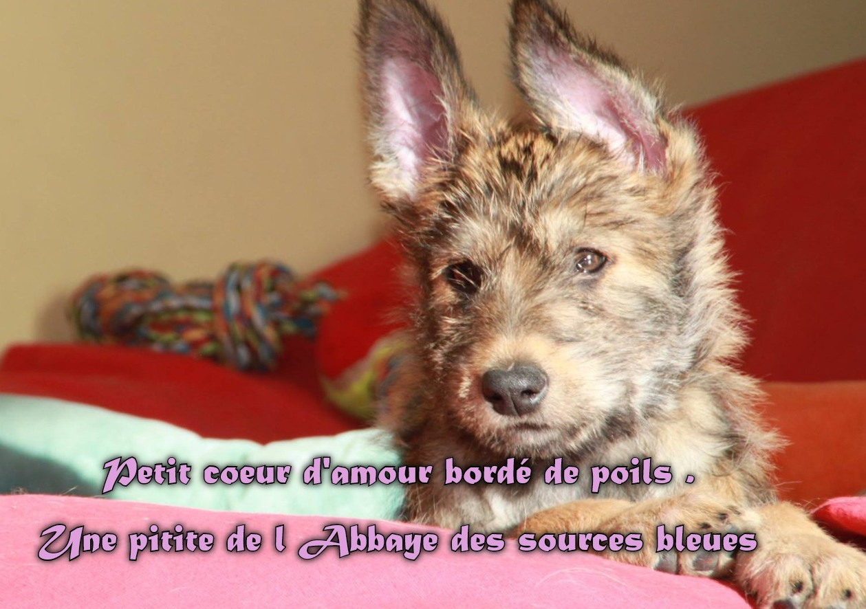 8 SEMAINES POUR CE PORTRAIT