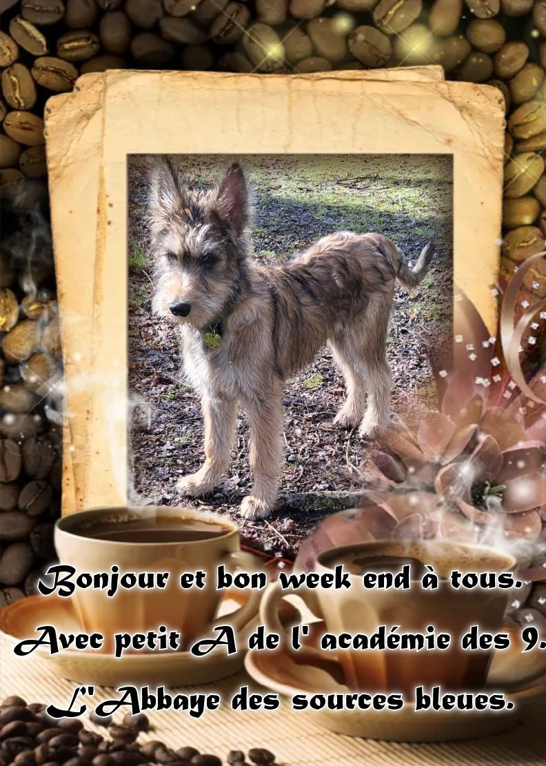 EXCELLENT WEEK END A TOUS