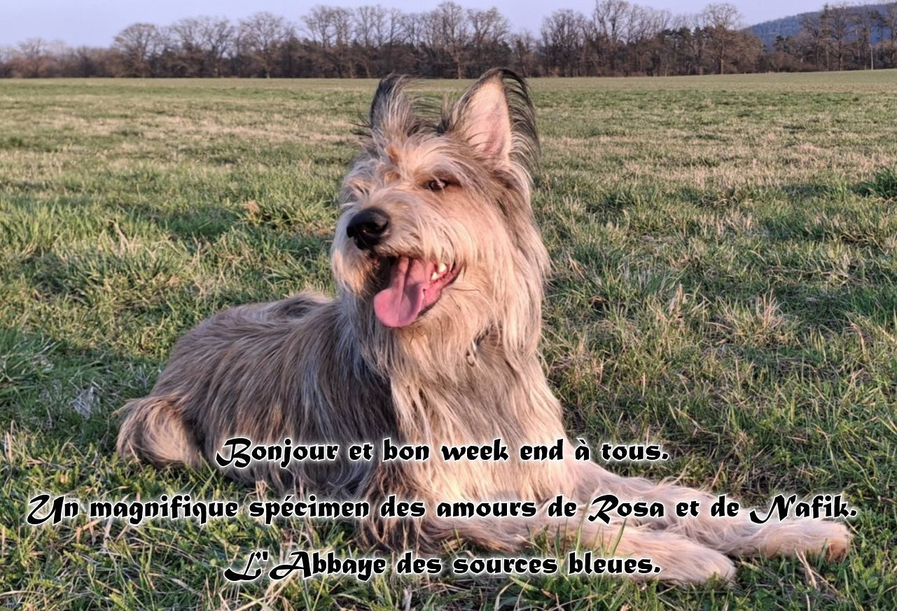 EXCELLENT WEEK END A TOUS