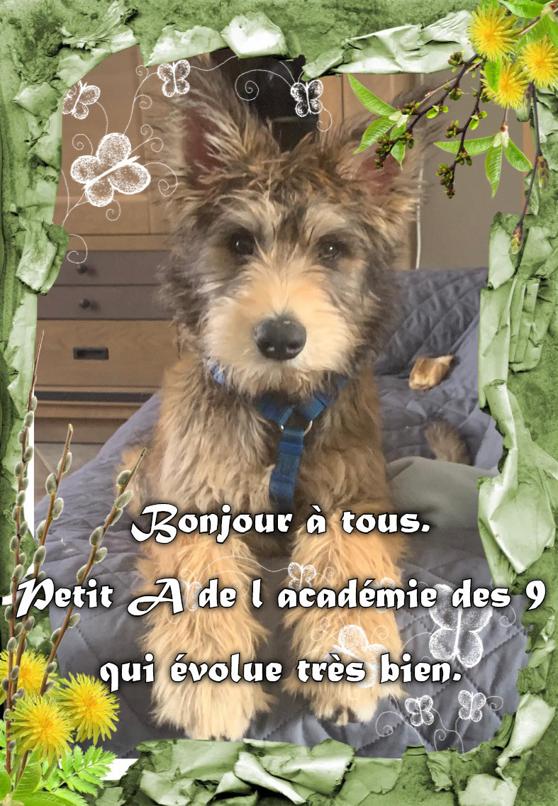 De L'abbaye Des Sources Bleues - DEJA LE 1 ER AVRIL 2026