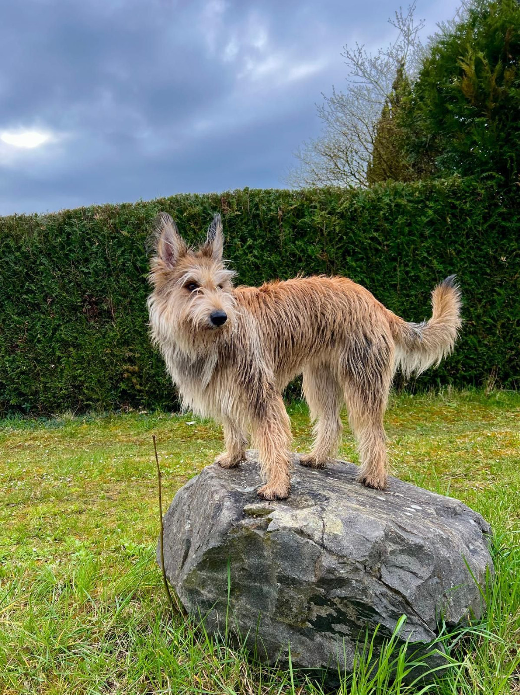 De L'abbaye Des Sources Bleues - ON SE SENT PLUS GRANDE AINSI .