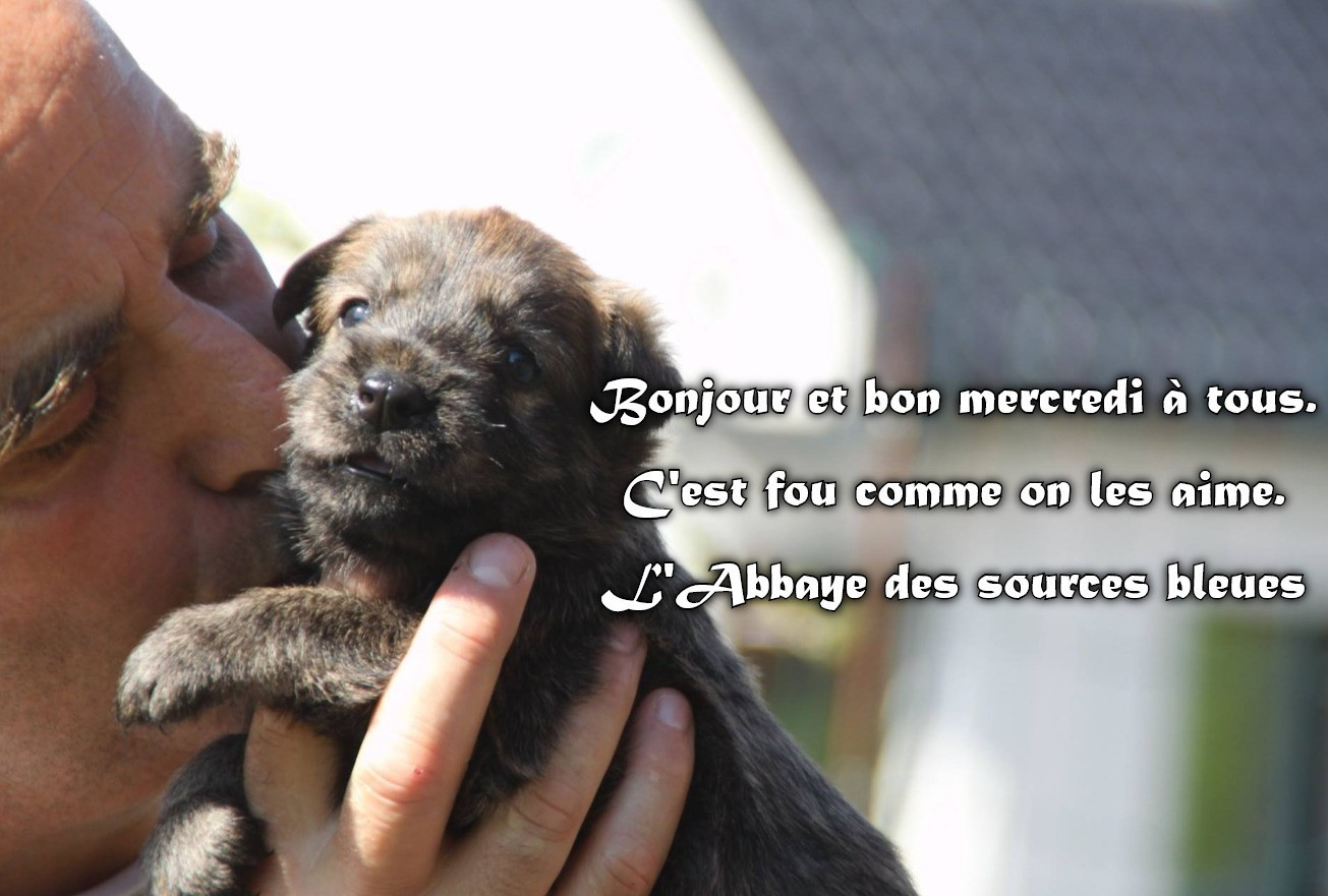 De L'abbaye Des Sources Bleues - L'AMOUR