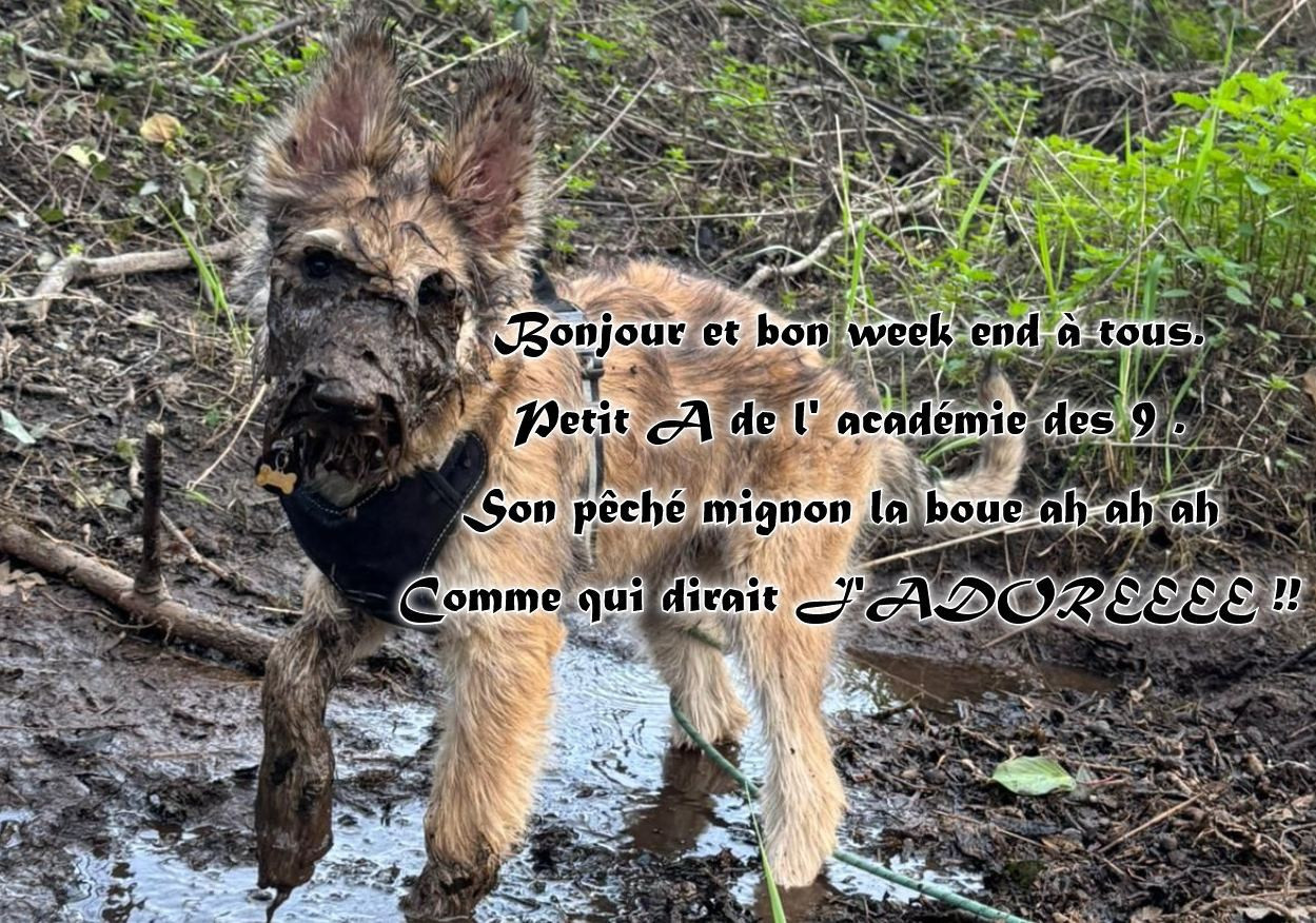 De L'abbaye Des Sources Bleues - LA GADOUE LA GADOUE