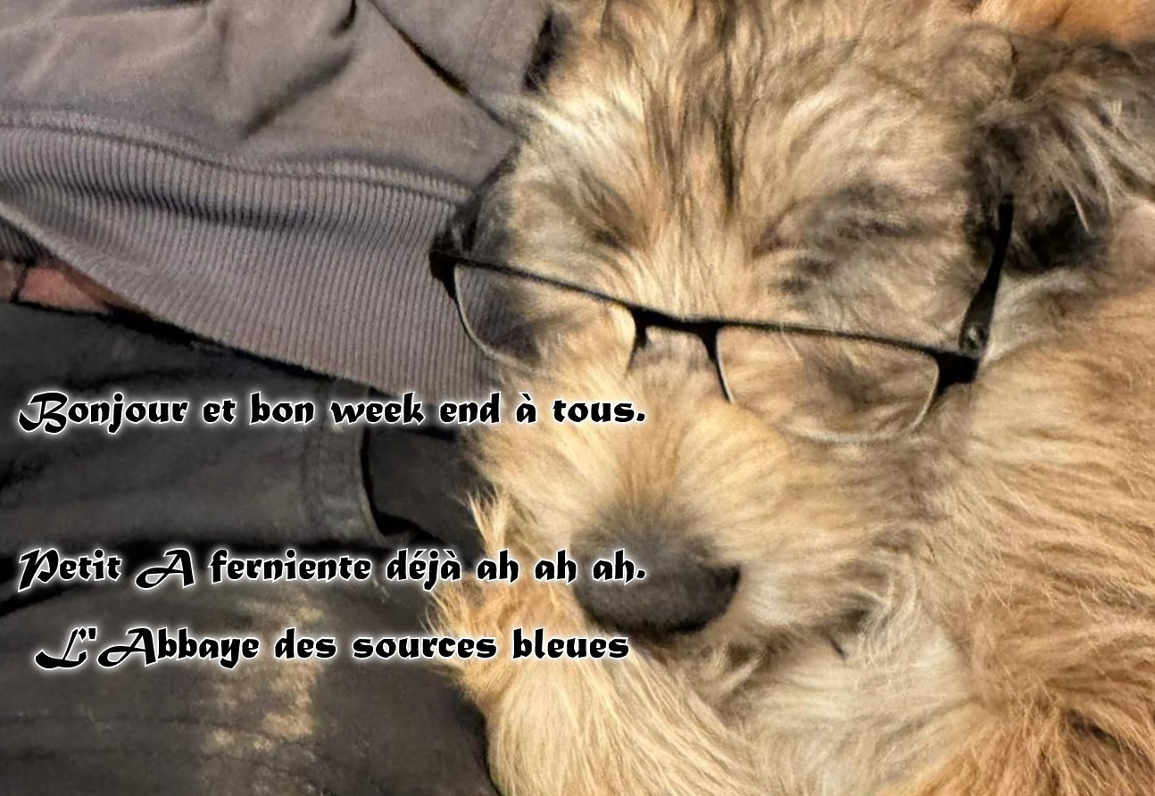 De L'abbaye Des Sources Bleues - EXCELLENT WEEK END A TOUS