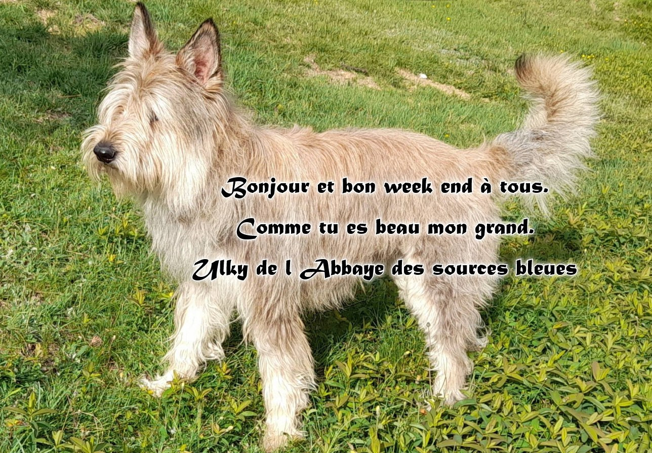 De L'abbaye Des Sources Bleues - UNE PRODUCTION 100 % DE L'ABBAYE DES SOURCES BLEUES