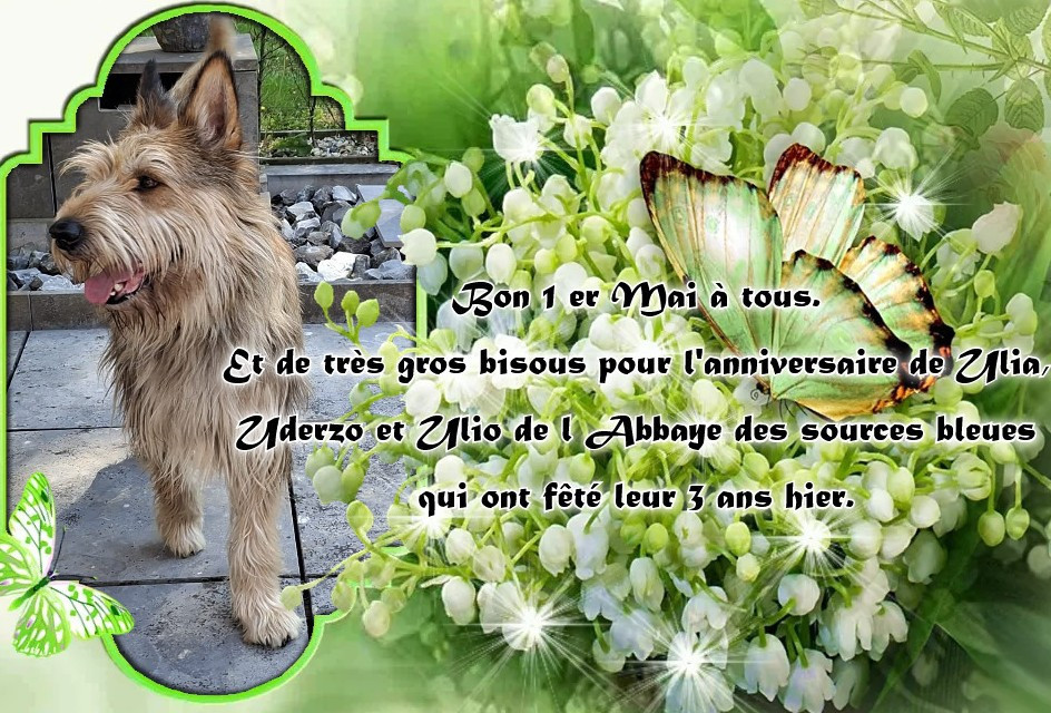BON WEEK END DU 1 ER MAI A TOUS