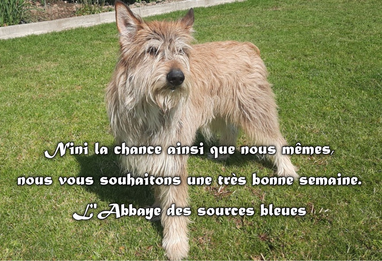 BONNE SEMAINE A TOUS.