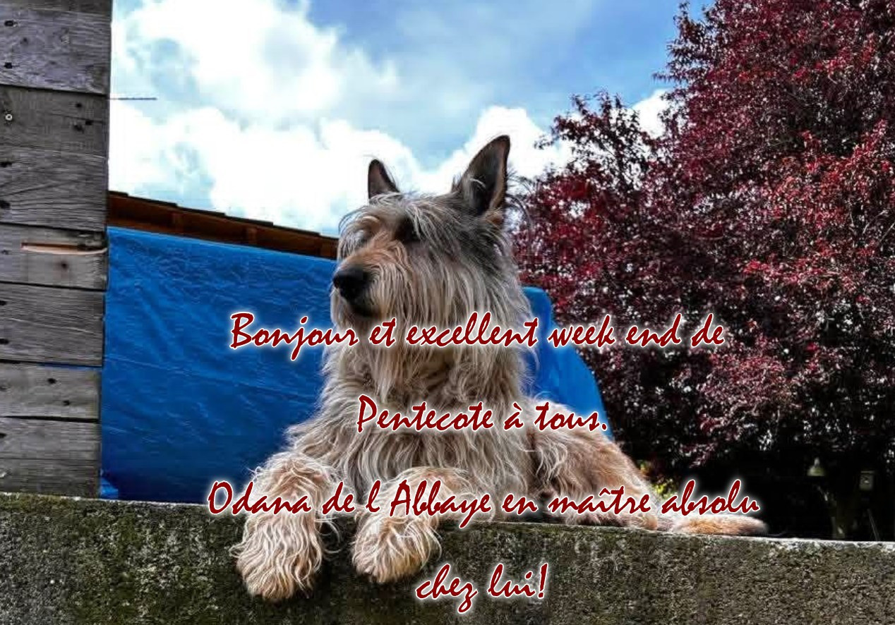 TRES BON WEEK-END DE PENTECOTE A TOUS