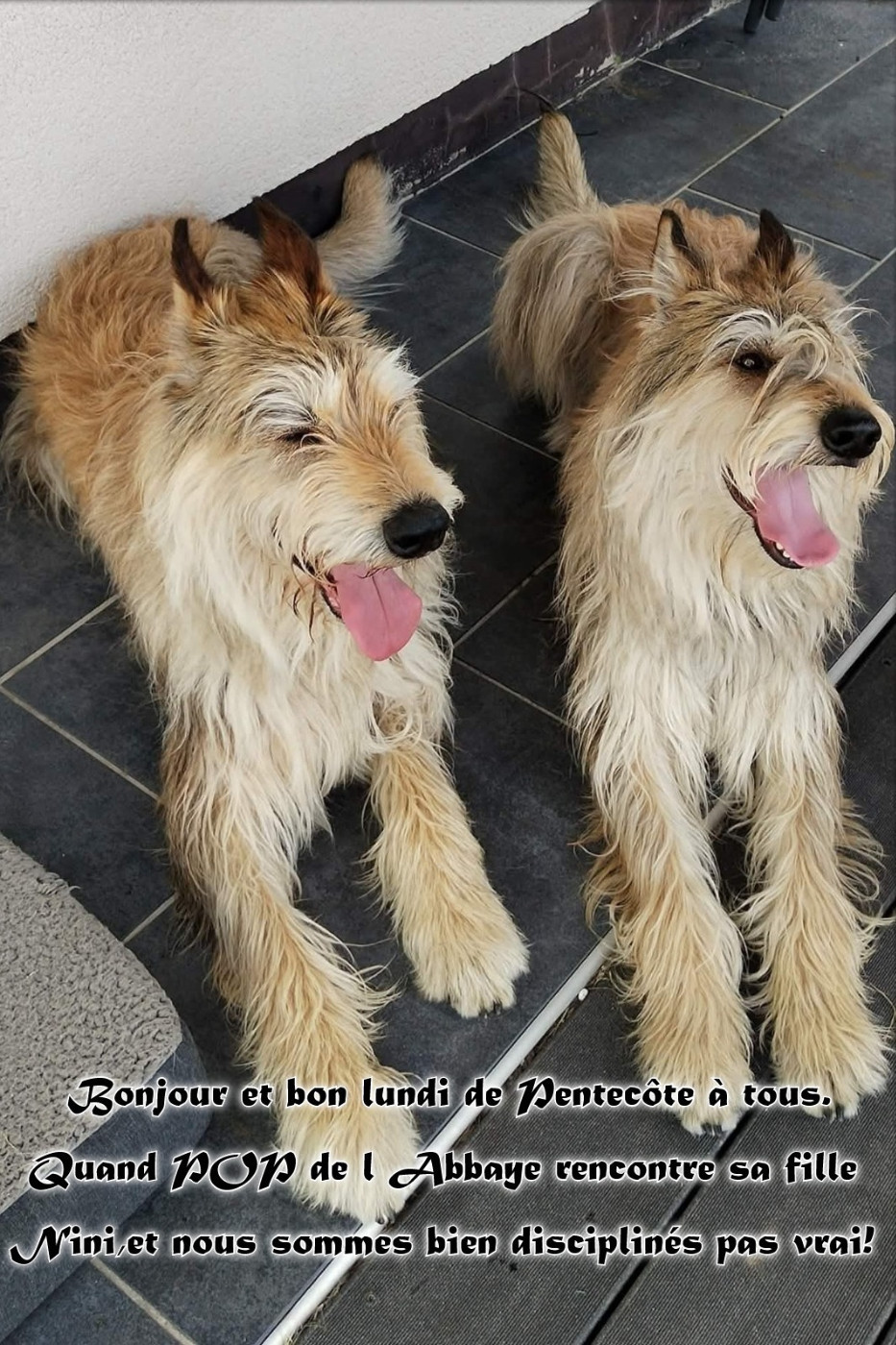 TENDRE RENCONTRE ENTRE PERE & FILLE