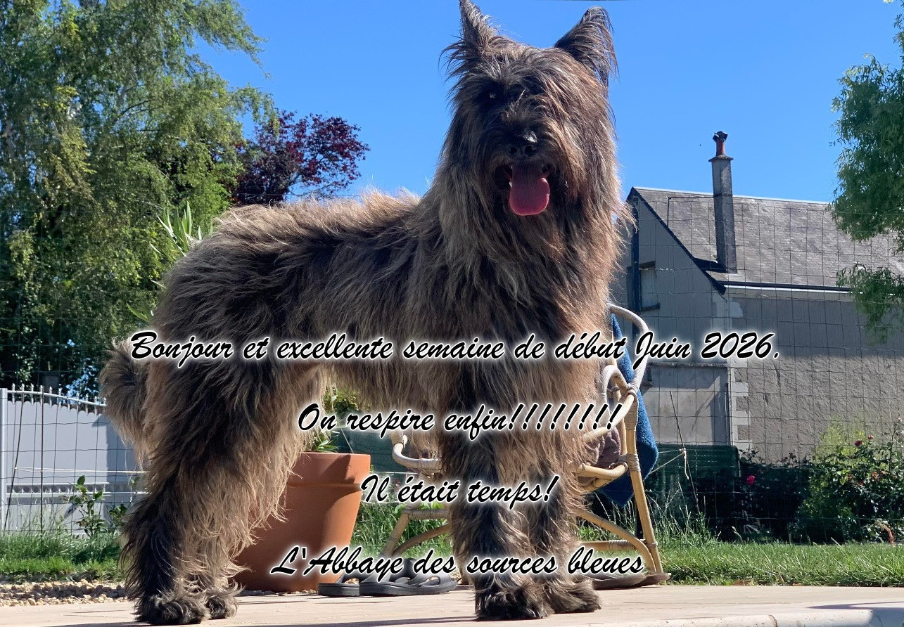 De L'abbaye Des Sources Bleues - BON DEBUT DE MOIS A TOUS.