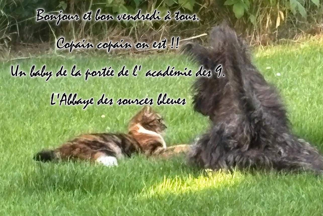 De L'abbaye Des Sources Bleues - BON WEEK END A TOUS