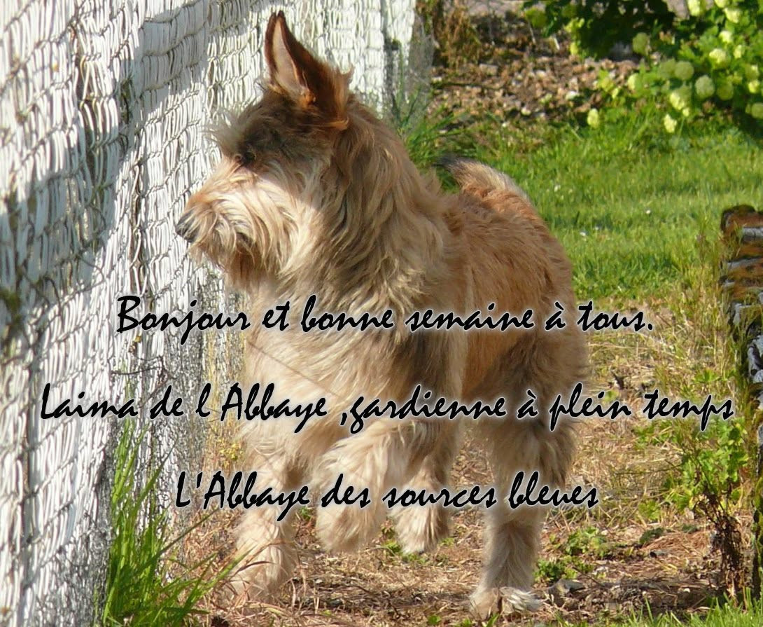 De L'abbaye Des Sources Bleues - EXCELLENTE SEMAINE A TOUS.