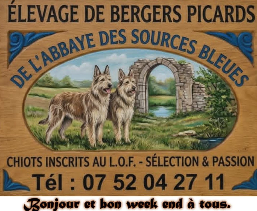 De L'abbaye Des Sources Bleues - BON WEEK END A TOUS.