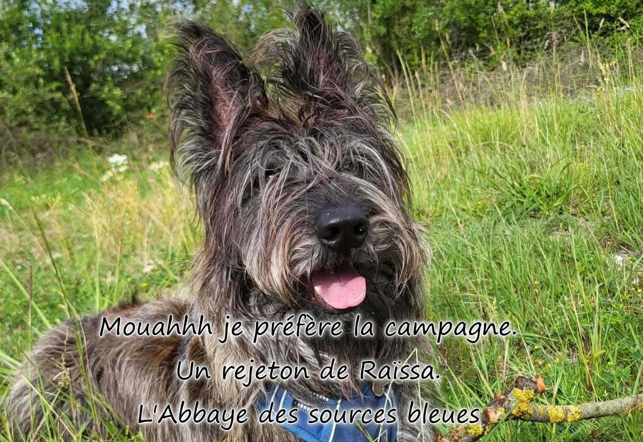 EXCELLENTE SEMAINE A TOUS.