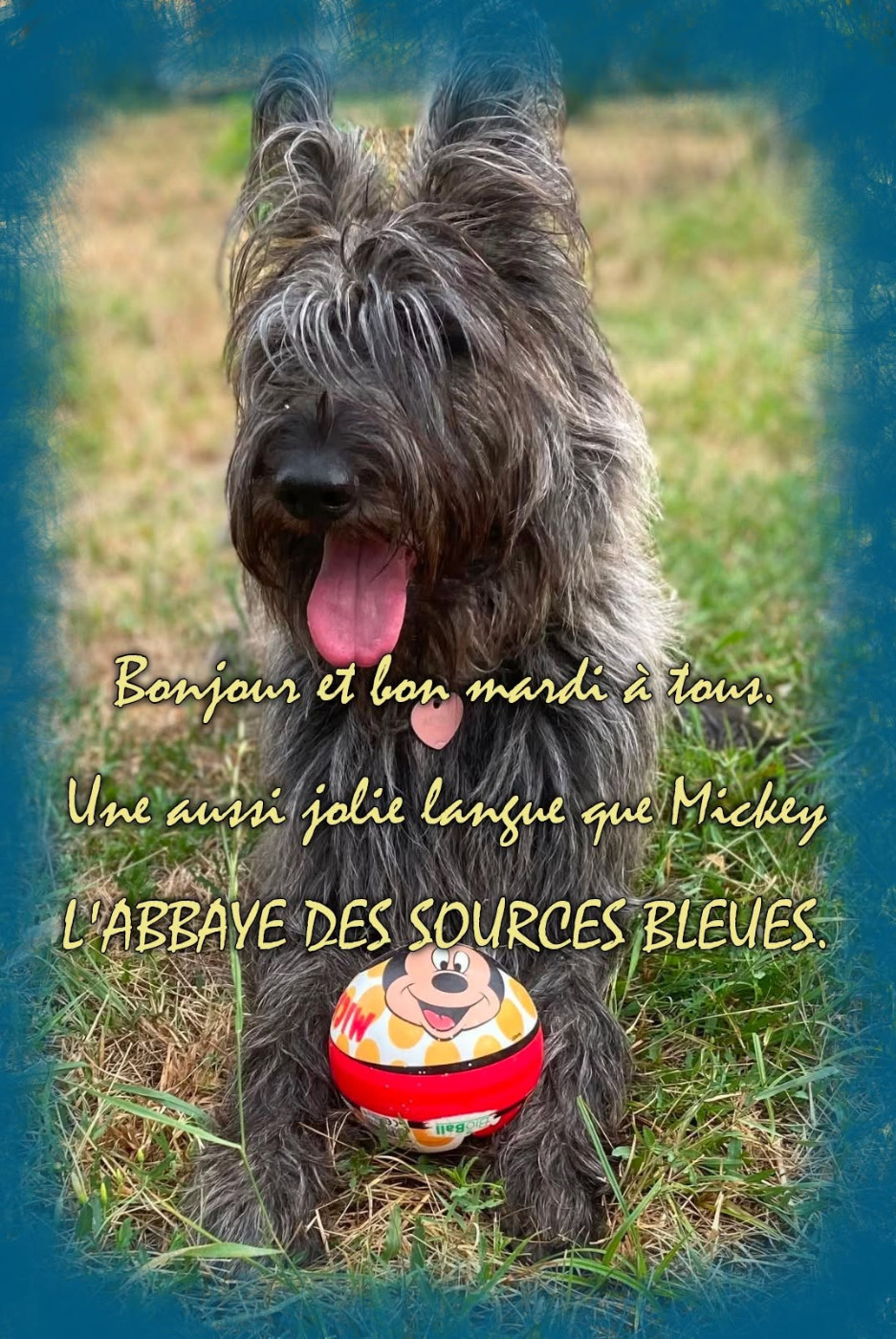 De L'abbaye Des Sources Bleues - FIN JUIN 2026