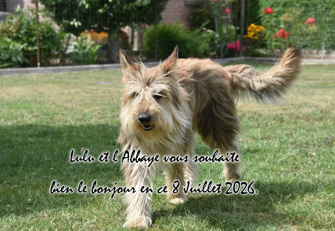 De L'abbaye Des Sources Bleues - ULISSE ALIAS LULU