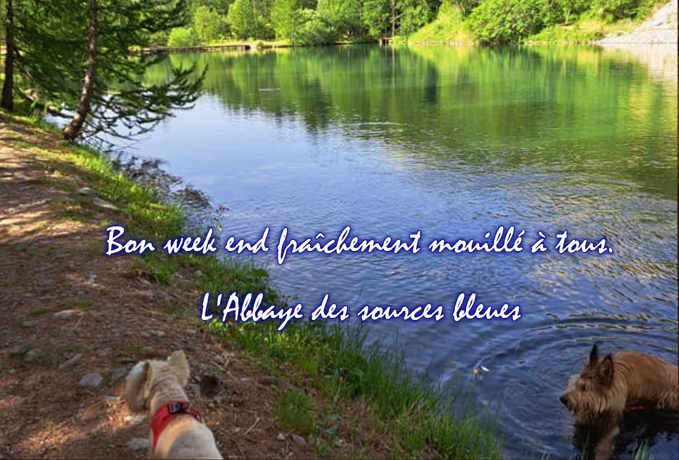 EXCELLENT WEEK END A TOUS.